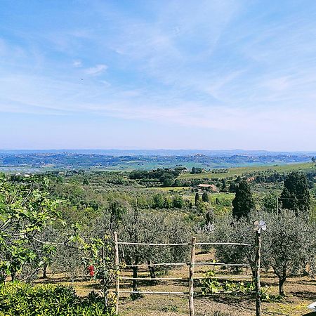 La Casina Di Colle - Appartamento Rustico Sulle Colline Di Pisa Casciana Terme Ngoại thất bức ảnh